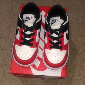 Toddler 7C Dunks